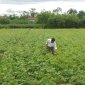 Lệ Thủy: Khi nông dân tham gia xây dựng nông thôn mới 
